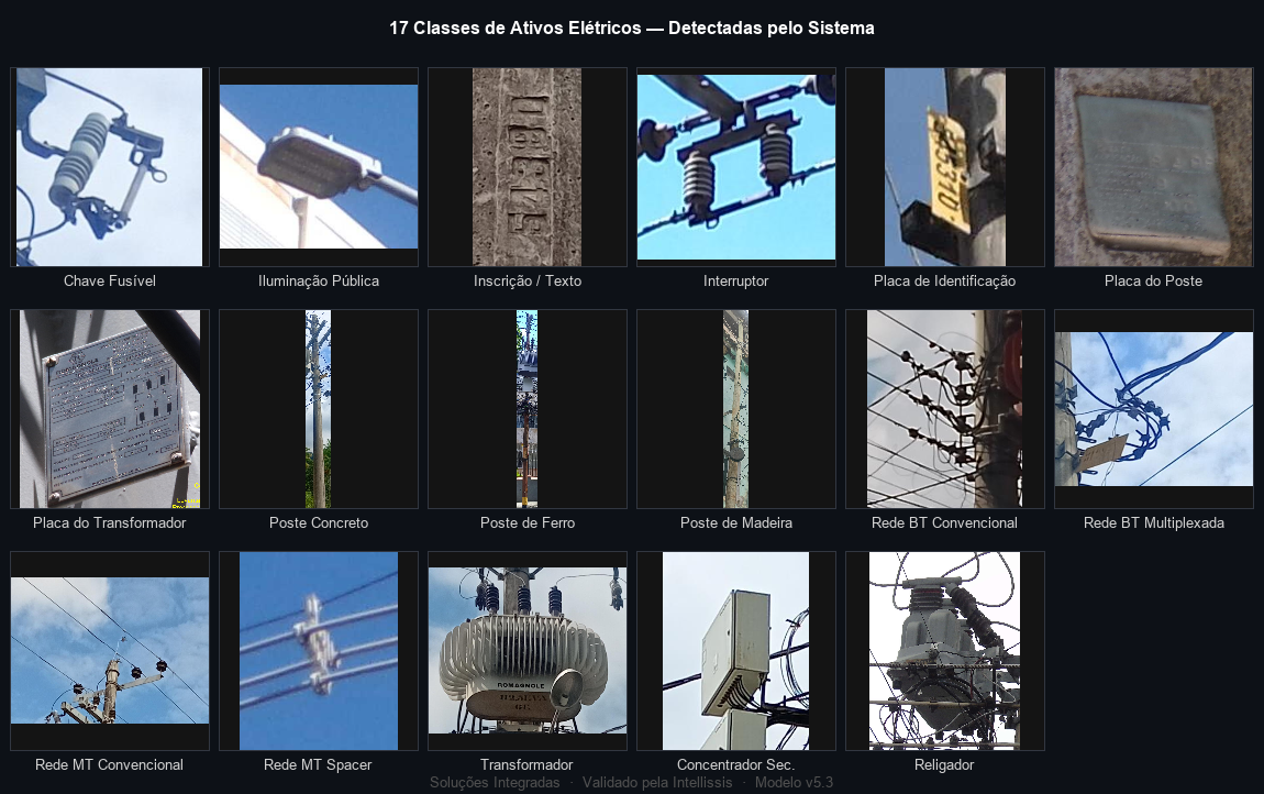 Grid of the 17 detected asset classes