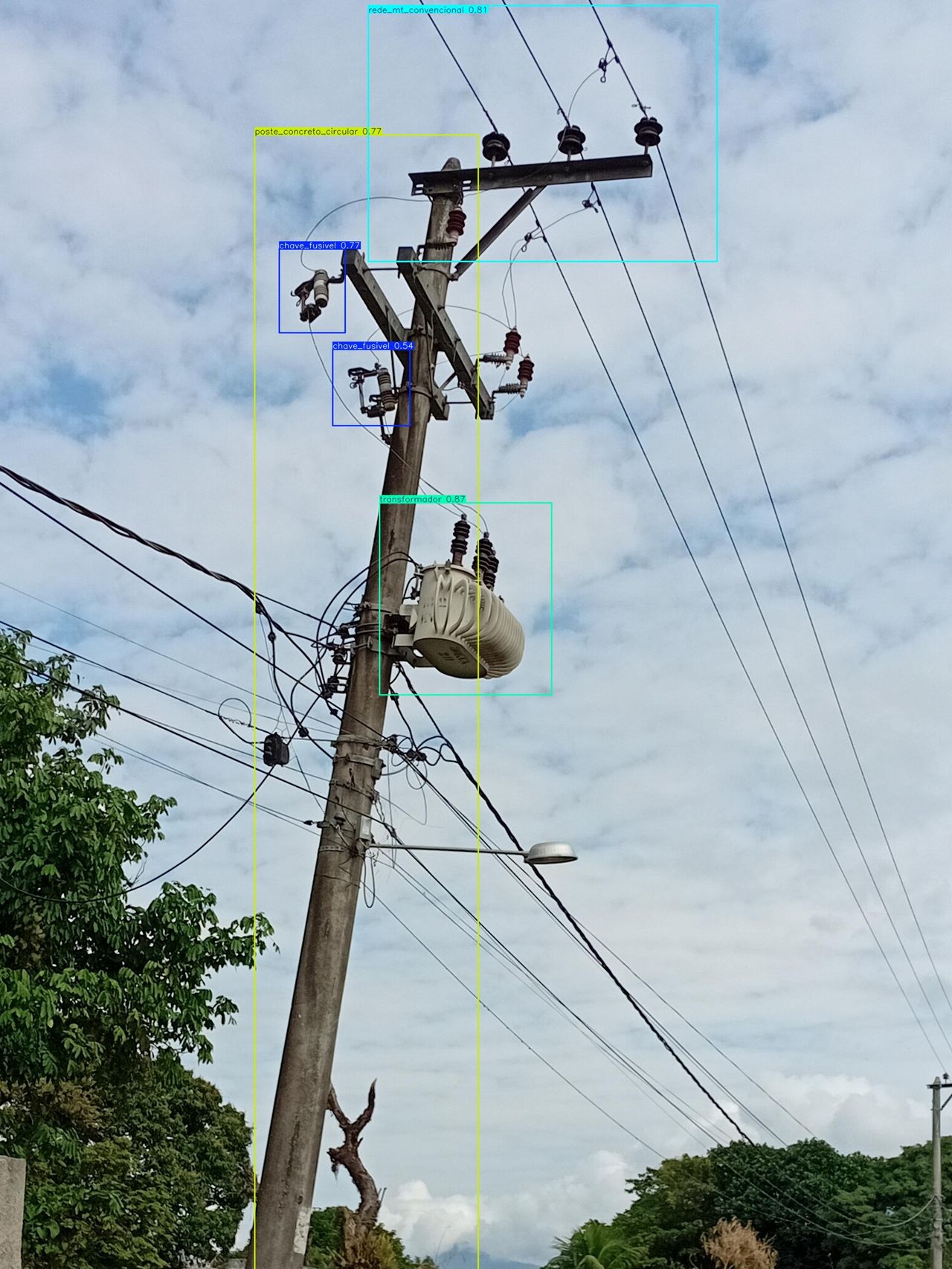 Automatic detection of electrical assets